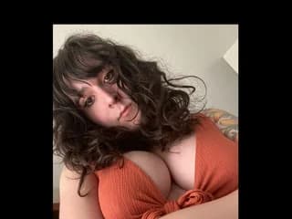WebCAM of AdaraStray